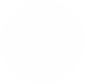 Celulose