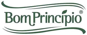 Bom Princípio